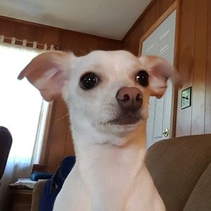 Meet your Posher, Todd